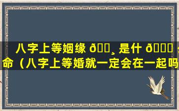 八字上等姻缘 🌸 是什 🐎 么命（八字上等婚就一定会在一起吗）